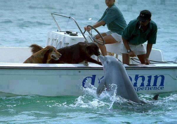 Diverse - 10003394996174601166211737062598n.jpg